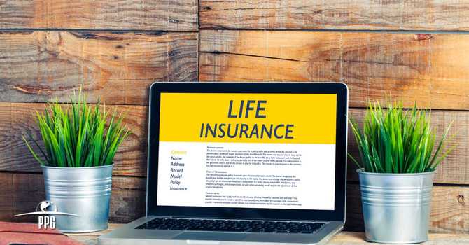 How much life insurance do I need? image